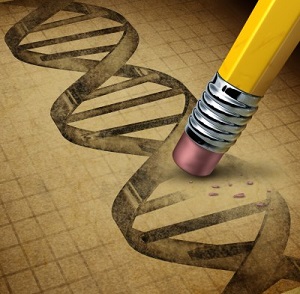 Biology and genetic engineering translation