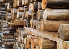 Translation of wood processing industry texts